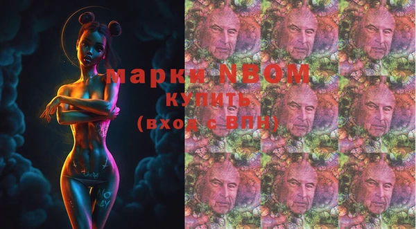 шишки Каменногорск