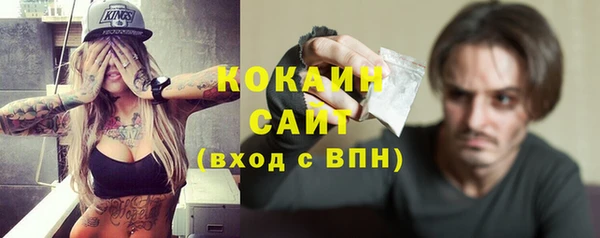 шишки Каменногорск