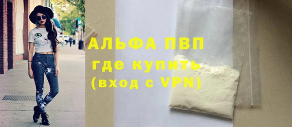 шишки Каменногорск