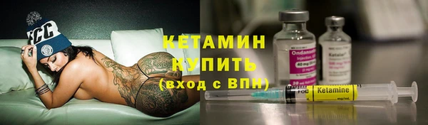 шишки Каменногорск