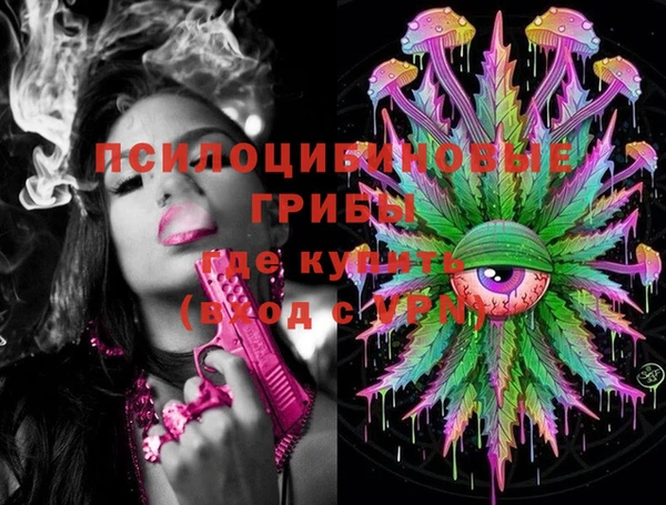 шишки Каменногорск