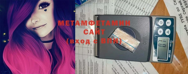 шишки Каменногорск