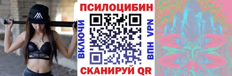 Купить закладки  Гаджиево  Галлюциногенные грибы мицелий 